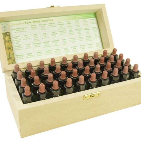 Sesión de Terapia Floral ( incluye formula)