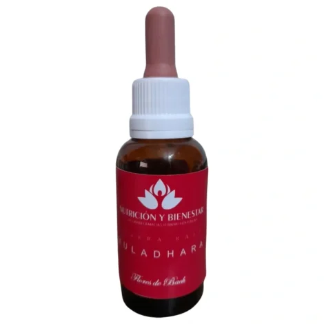FLORES DE BACH-FORMULA PARA ARMONIZAR CHAKRA RAIZ