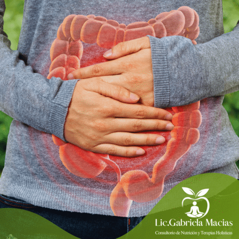 PLAN SALUD INTESTINAL